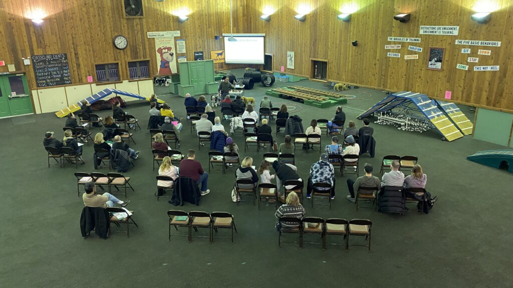 Dog Training Orientation