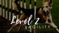 Level 2 Agility