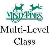 Multi-Level Class