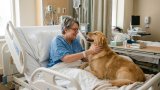 Therapy and Canine Good Citizen Prep Training
