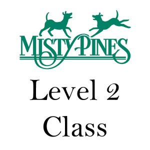 Level 2 Class