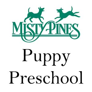 Puppy PreSchool