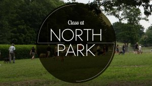 North Park Class