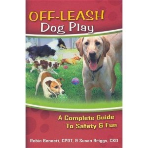 Off-Leash Dog Play