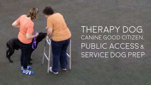 Therapy, Service and CGC Prep Training