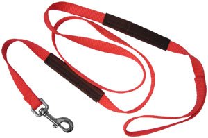 6 Foot Single Ply Nylon Dog Leash with Leather Grips