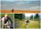Bird Dog Workshop - Pointers